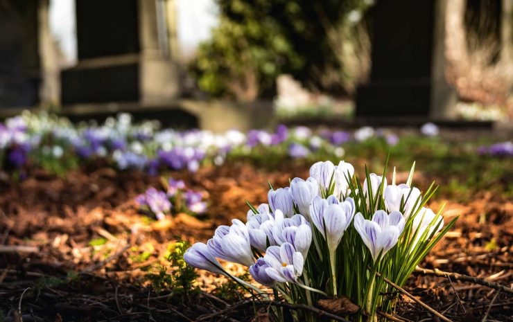 cimitero-fiori-solofra-scarano